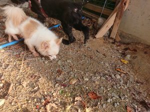 f:id:roukenhome-ann:20181113052836j:plain
