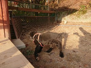 f:id:roukenhome-ann:20181113052843j:plain