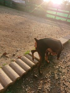 f:id:roukenhome-ann:20181113052847j:plain