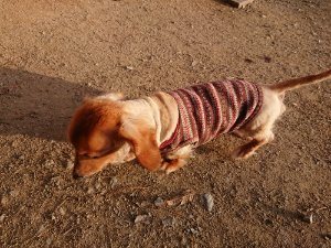 f:id:roukenhome-ann:20181113052851j:plain