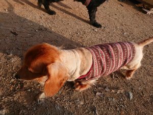 f:id:roukenhome-ann:20181113052855j:plain