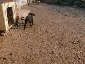 f:id:roukenhome-ann:20181113052858j:plain