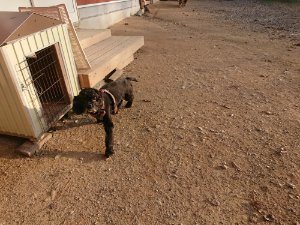 f:id:roukenhome-ann:20181113052902j:plain