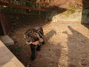 f:id:roukenhome-ann:20181113052913j:plain
