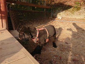 f:id:roukenhome-ann:20181113052920j:plain