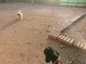 f:id:roukenhome-ann:20181113052924j:plain