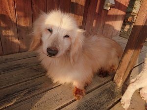 f:id:roukenhome-ann:20181113052931j:plain