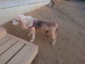 f:id:roukenhome-ann:20181113053000j:plain