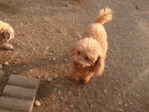 f:id:roukenhome-ann:20181113071748j:plain