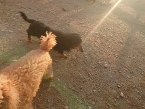 f:id:roukenhome-ann:20181113071752j:plain