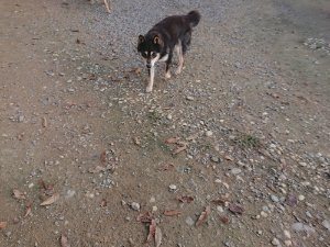 f:id:roukenhome-ann:20181113071804j:plain