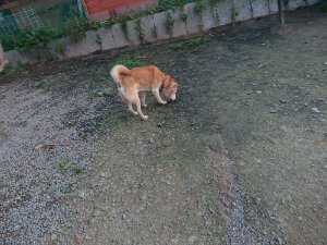 f:id:roukenhome-ann:20181113071808j:plain