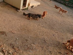 f:id:roukenhome-ann:20181113071829j:plain