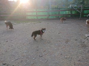 f:id:roukenhome-ann:20181113071836j:plain