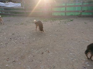 f:id:roukenhome-ann:20181113071840j:plain