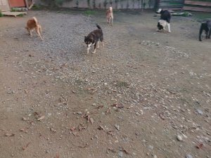 f:id:roukenhome-ann:20181113071844j:plain