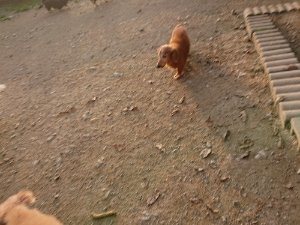 f:id:roukenhome-ann:20181113071851j:plain