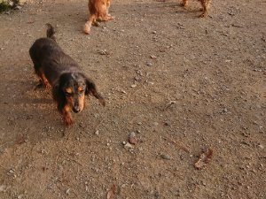 f:id:roukenhome-ann:20181113071854j:plain