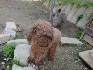 f:id:roukenhome-ann:20181113071905j:plain