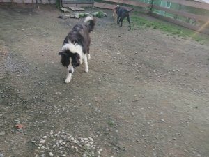 f:id:roukenhome-ann:20181113071908j:plain