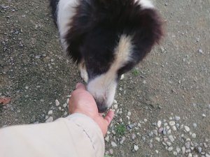 f:id:roukenhome-ann:20181113071915j:plain