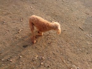 f:id:roukenhome-ann:20181113071922j:plain