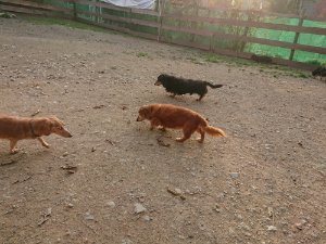 f:id:roukenhome-ann:20181113071925j:plain