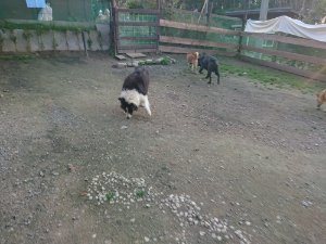 f:id:roukenhome-ann:20181113071932j:plain