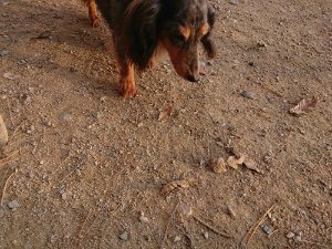 f:id:roukenhome-ann:20181113071939j:plain