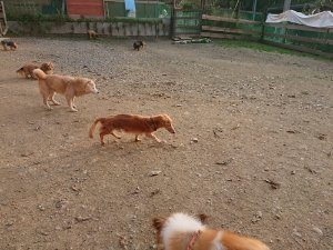 f:id:roukenhome-ann:20181113071943j:plain