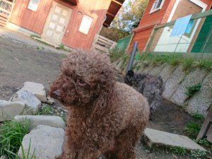 f:id:roukenhome-ann:20181113071946j:plain