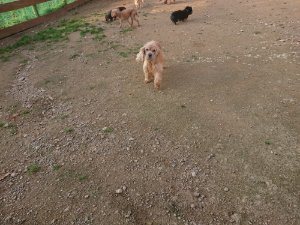 f:id:roukenhome-ann:20181113075043j:plain