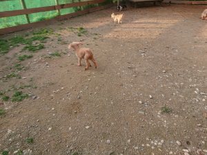 f:id:roukenhome-ann:20181113075050j:plain