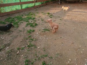 f:id:roukenhome-ann:20181113075057j:plain
