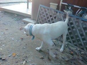 f:id:roukenhome-ann:20181113075100j:plain