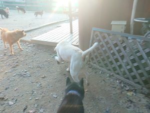 f:id:roukenhome-ann:20181113075104j:plain