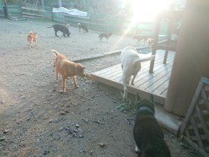 f:id:roukenhome-ann:20181113075111j:plain