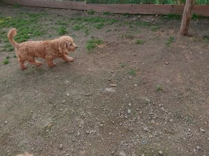 f:id:roukenhome-ann:20181113075114j:plain