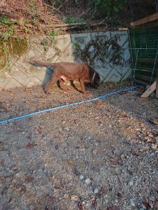 f:id:roukenhome-ann:20181113075126j:plain