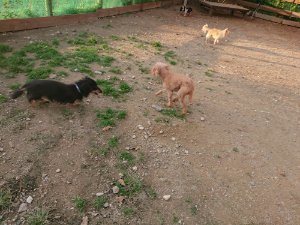 f:id:roukenhome-ann:20181113075137j:plain