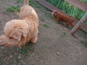 f:id:roukenhome-ann:20181113075145j:plain