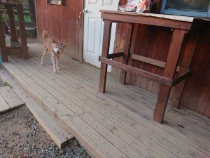 f:id:roukenhome-ann:20181113075153j:plain