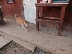 f:id:roukenhome-ann:20181113075156j:plain