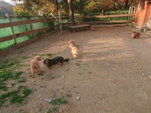f:id:roukenhome-ann:20181113075214j:plain