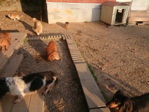 f:id:roukenhome-ann:20181113075430j:plain