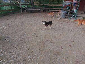 f:id:roukenhome-ann:20181113075457j:plain