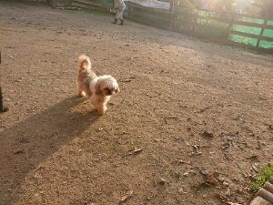 f:id:roukenhome-ann:20181113075501j:plain