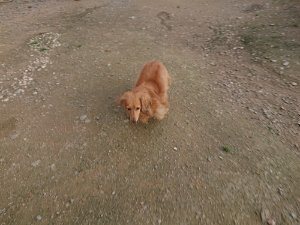 f:id:roukenhome-ann:20181113075519j:plain