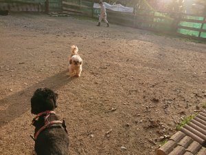 f:id:roukenhome-ann:20181113075533j:plain