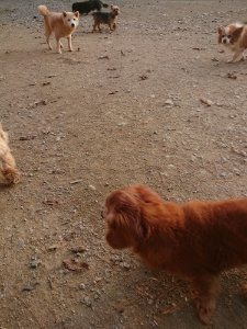 f:id:roukenhome-ann:20181113075547j:plain